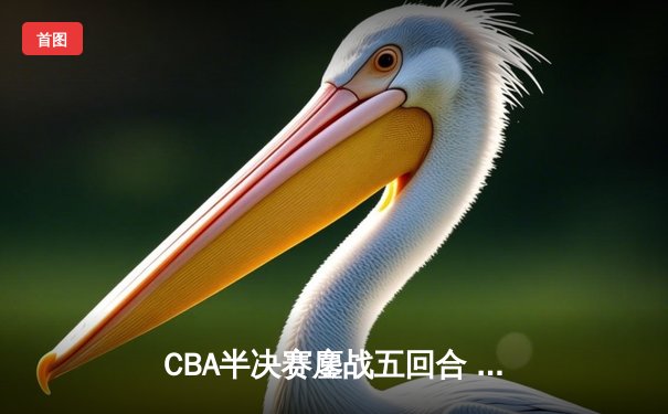 CBA半决赛鏖战五回合 辽宁本钢逆转广东宏远晋级总决赛