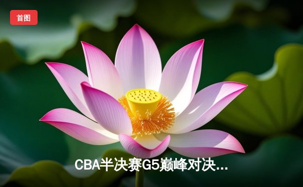 CBA半决赛G5巅峰对决：辽宁本钢加时逆转广东宏远，赵继伟砍30+10率队挺进总决赛